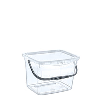 Transparent Carry Box with Handle