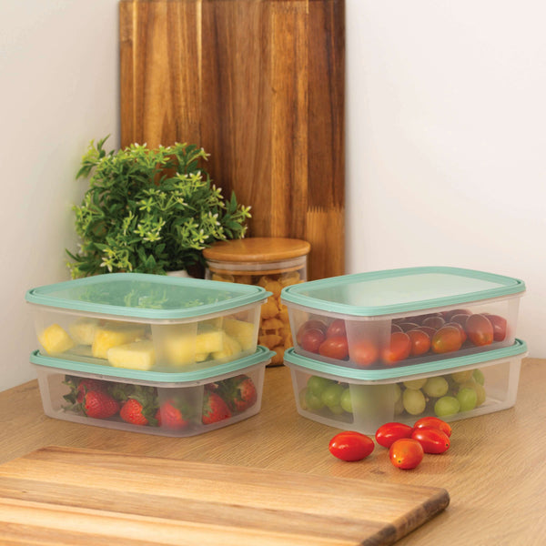 Wham Everyday Food 4-Piece 1L Freezer Box Set