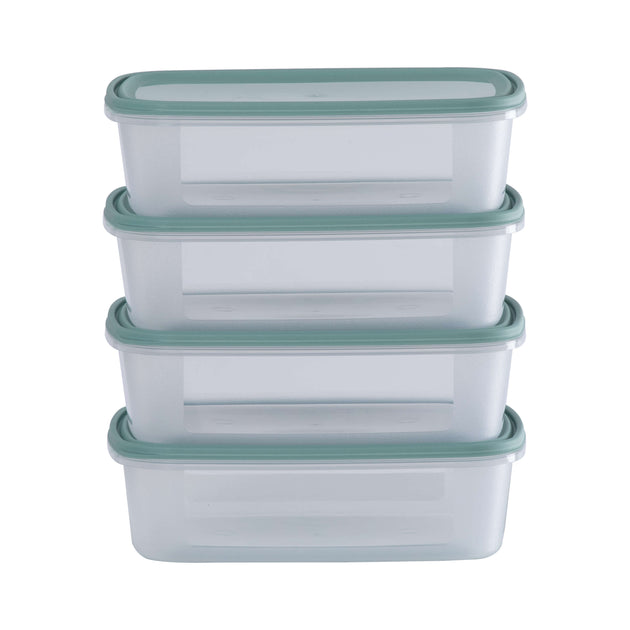 Wham Everyday Food 4-Piece 1L Freezer Box Set