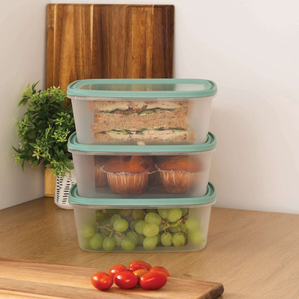 Wham Everyday Food 3-Piece 2L Freezer Box Set