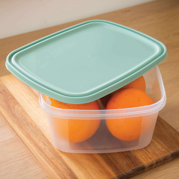 Wham Everyday Food 2-Piece 3L Freezer Box Set