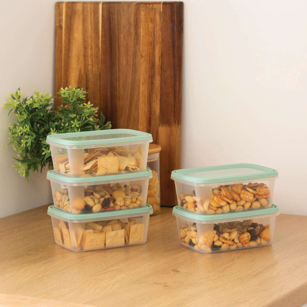 Wham Everyday Food 5-Piece 500ml Freezer Box Set