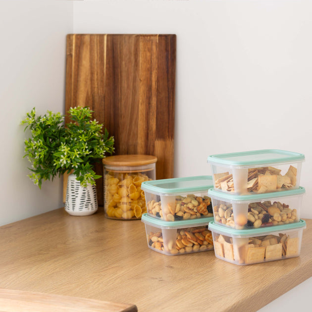 Wham Everyday Food 5-Piece 500ml Freezer Box Set
