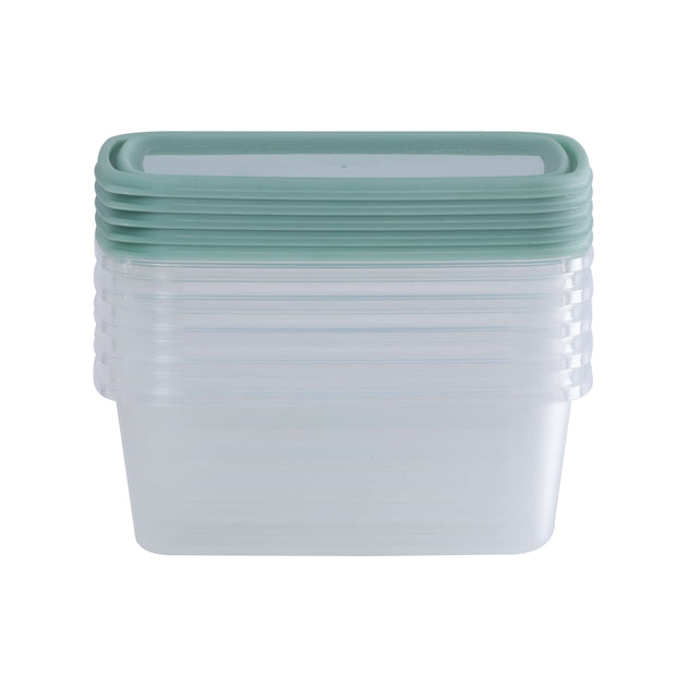 Wham Everyday Food 5-Piece 500ml Freezer Box Set