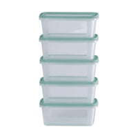 Wham Everyday Food 5-Piece 500ml Freezer Box Set