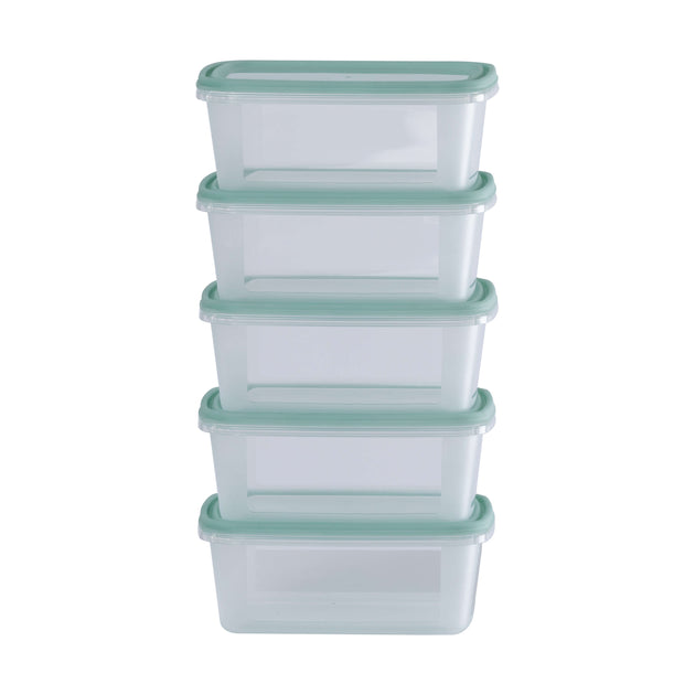 Wham Everyday Food 5-Piece 500ml Freezer Box Set
