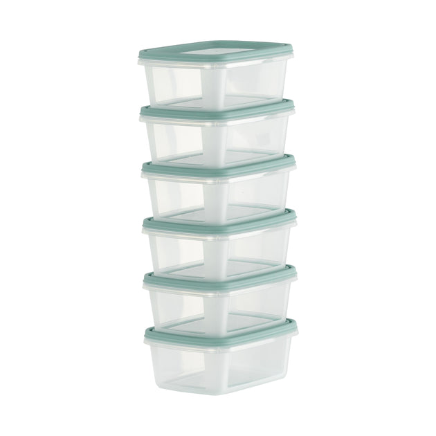Wham Everyday Food 6-Piece 250ml Freezer Box Set