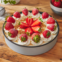 PushPan 20cm (8 Inch) Non-Stick Shallow Cake Tin